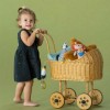 taf toys κουδουνίστρα ζέβρα dizi the zebra
